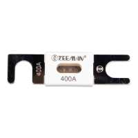 Victron ANL-fuse 300A/80V voor 48V producten