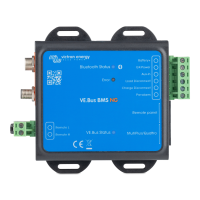 Victron Battery Management System VE.Bus BMS NG